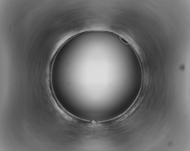 X0000097611006200803071446