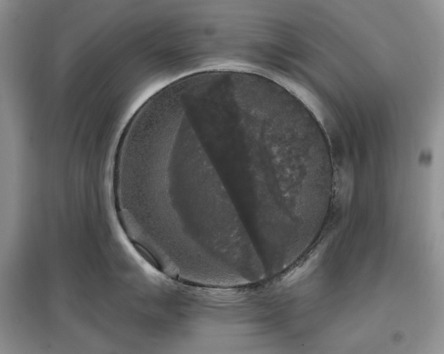 X0000097611007200803071446