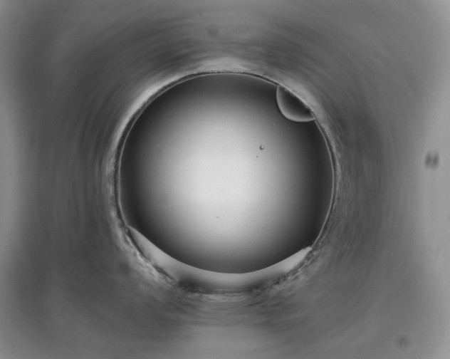 X0000097611008200803071446