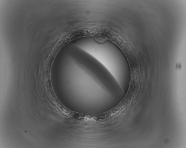 X0000097611009200803071445