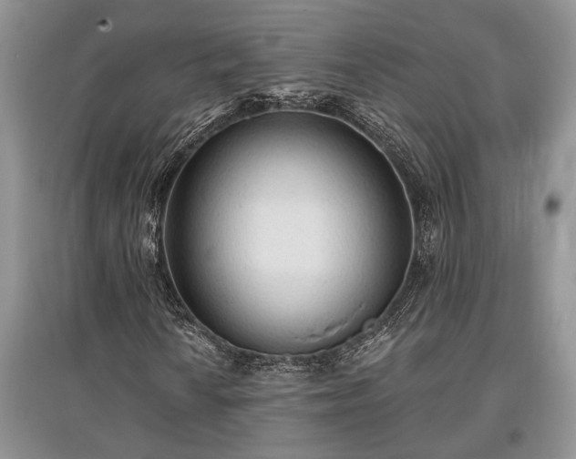 X0000097611010200803071445