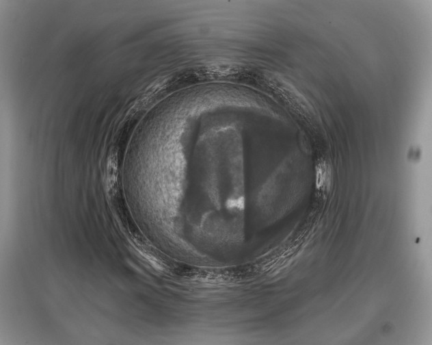X0000097611011200803071445