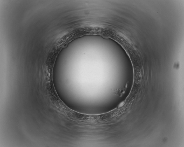 X0000097611013200803071445