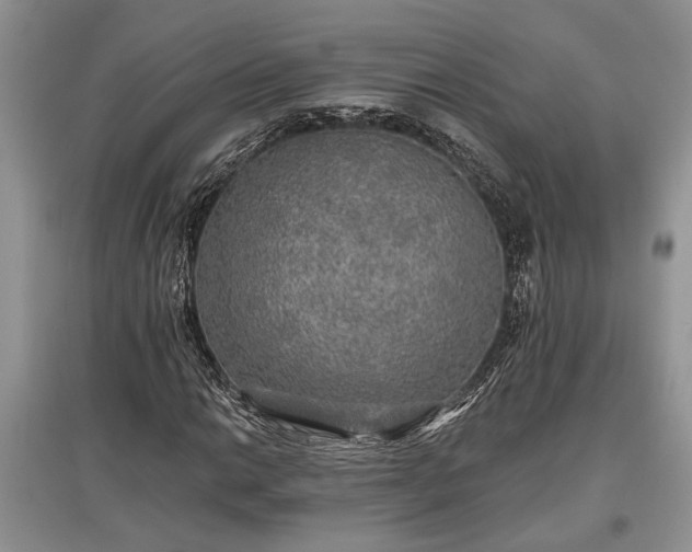 X0000097611014200803071445