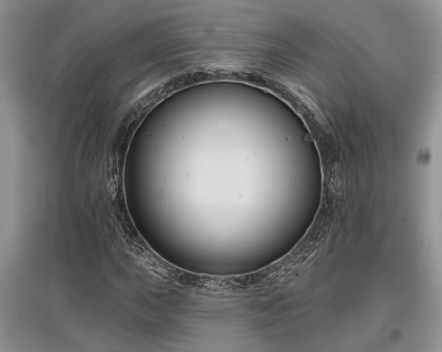 X0000097611015200803071445
