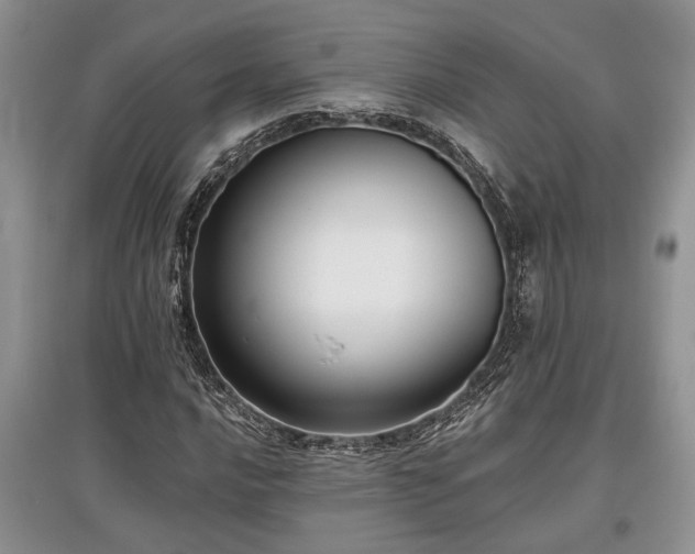 X0000097611016200803071445