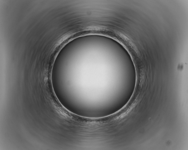 X0000097611017200803071445