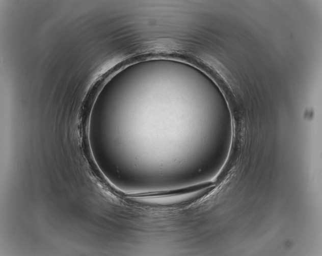X0000097611018200803071445