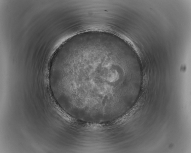 X0000097611019200803071445