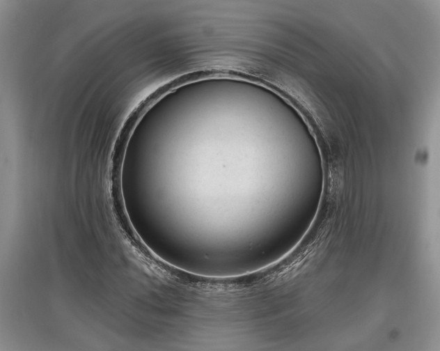 X0000097611020200803071445