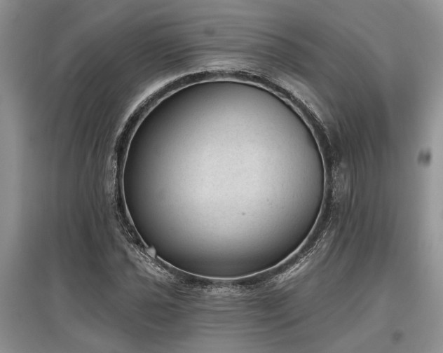 X0000097611021200803071445