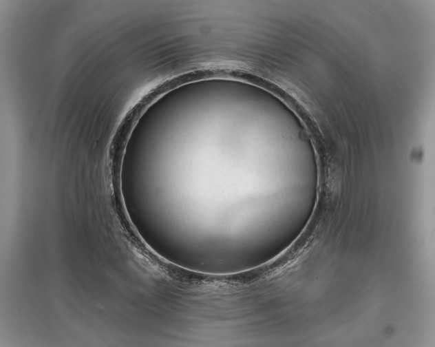 X0000097611022200803071445