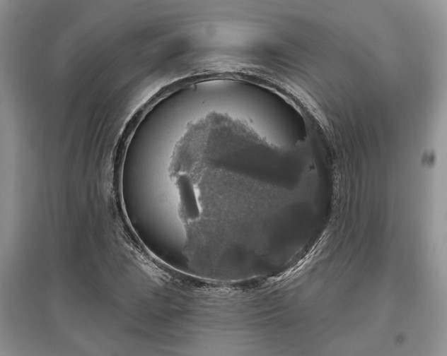 X0000097611023200803071445