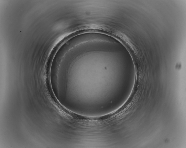 X0000097611024200803071445