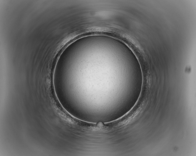 X0000097611025200803071445