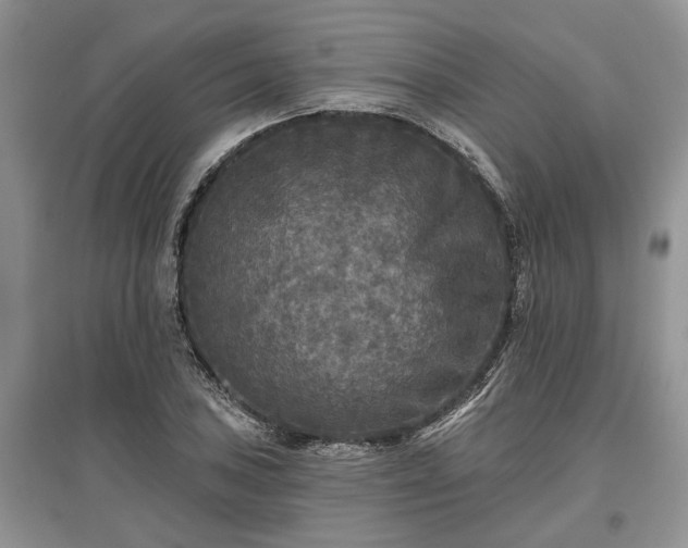 X0000097611027200803071445