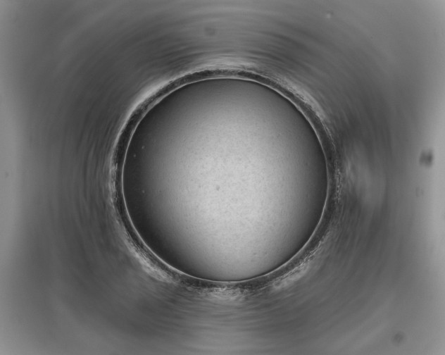 X0000097611029200803071445