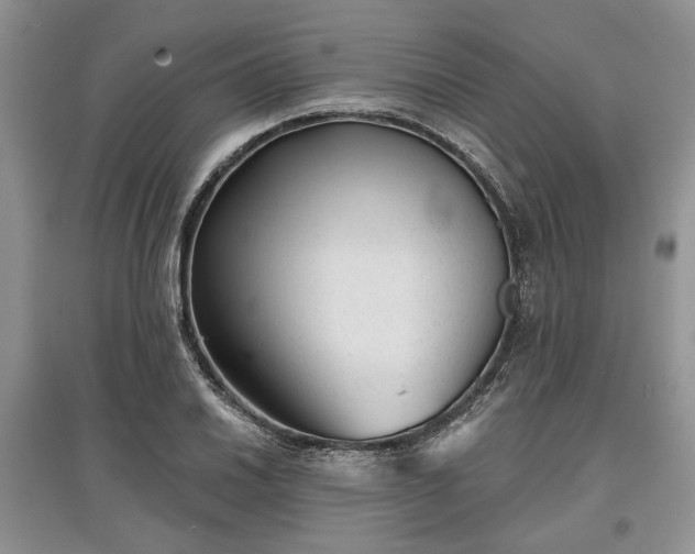 X0000097611030200803071445