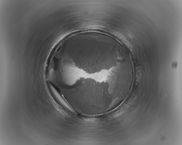 X0000097611031200803071445