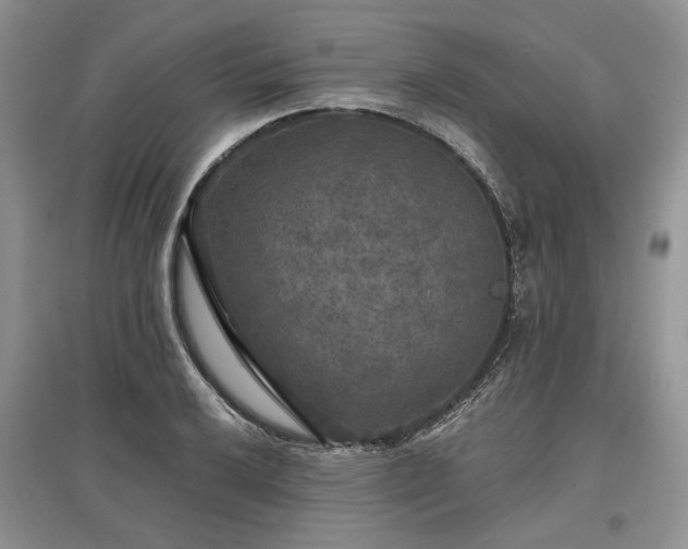 X0000097611032200803071445