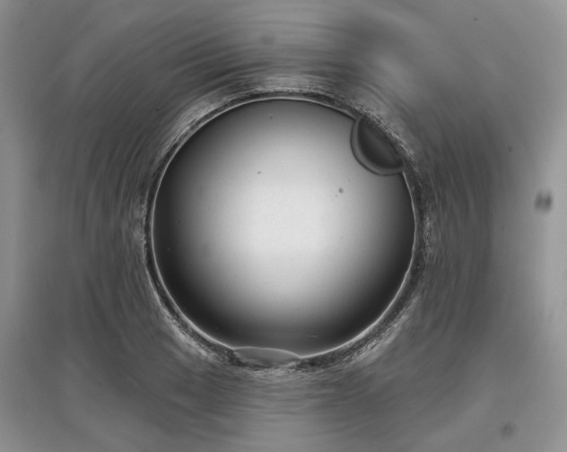 X0000097611033200803071445