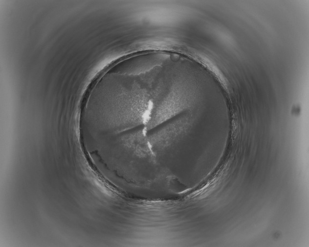 X0000097611035200803071445