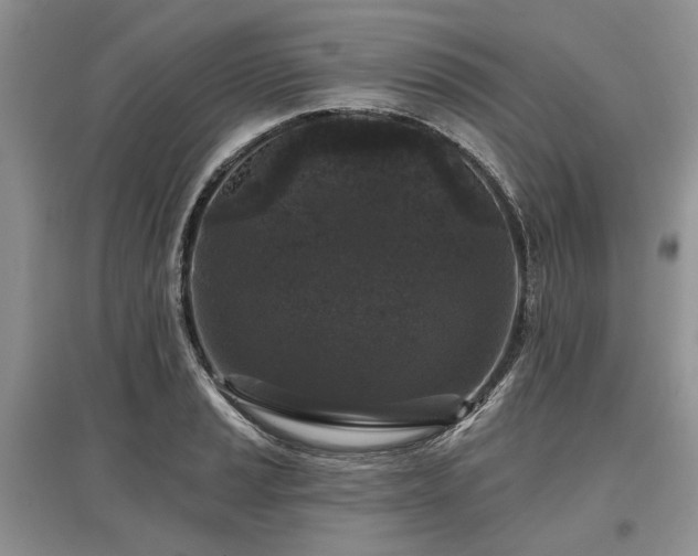 X0000097611037200803071445