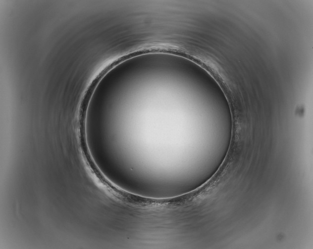 X0000097611038200803071445