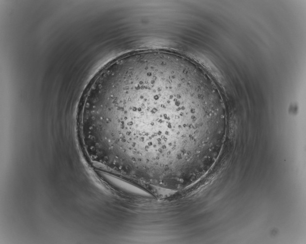 X0000097611039200803071445