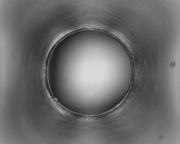 X0000097611040200803071445
