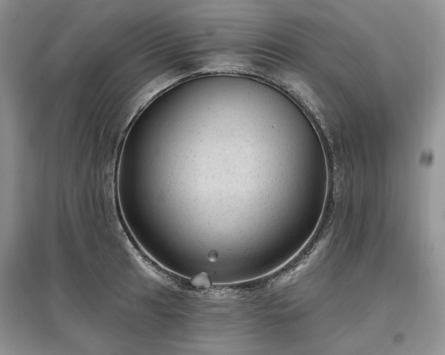 X0000097611041200803071446