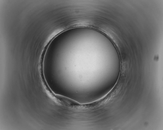 X0000097611042200803071446