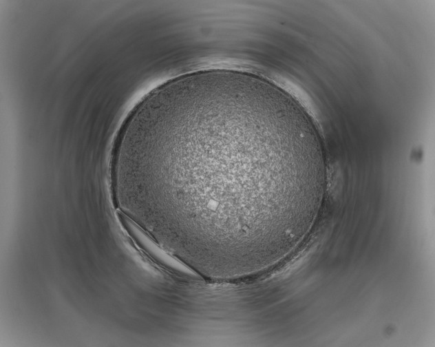 X0000097611043200803071446