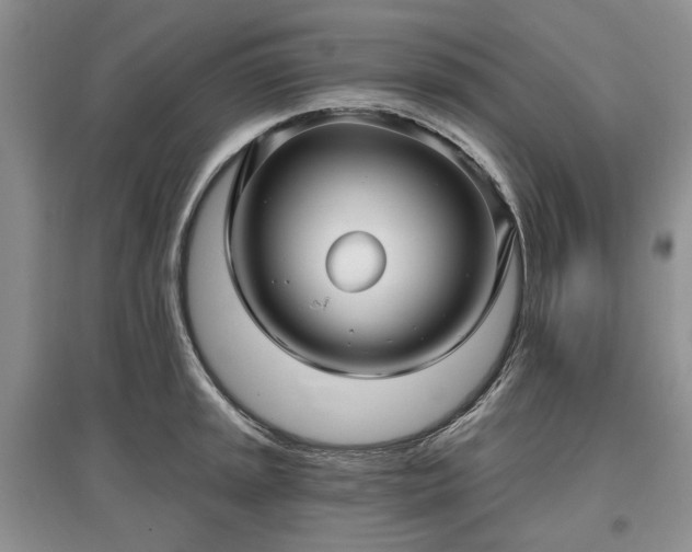 X0000097611045200803071446
