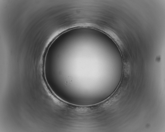 X0000097611046200803071446