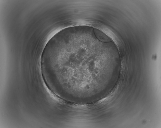 X0000097611047200803071446
