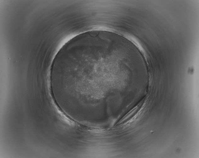 X0000097611048200803071446