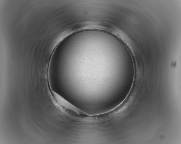 X0000097611049200803071446