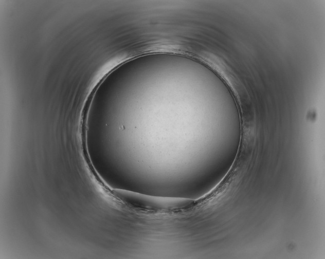 X0000097611050200803071446