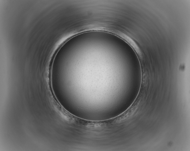 X0000097611051200803071446