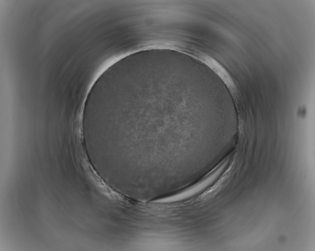 X0000097611052200803071446
