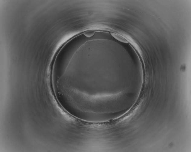 X0000097611053200803071446
