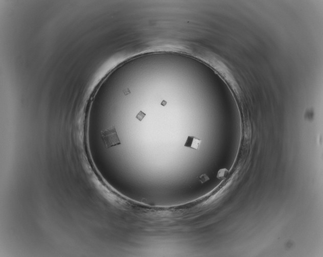 X0000097611054200803071446