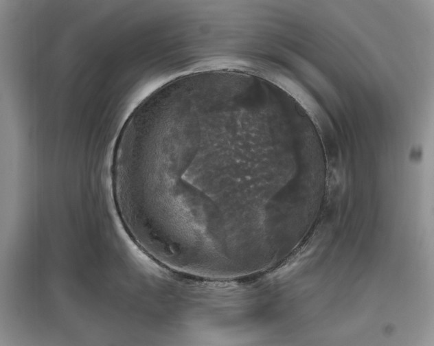 X0000097611055200803071446