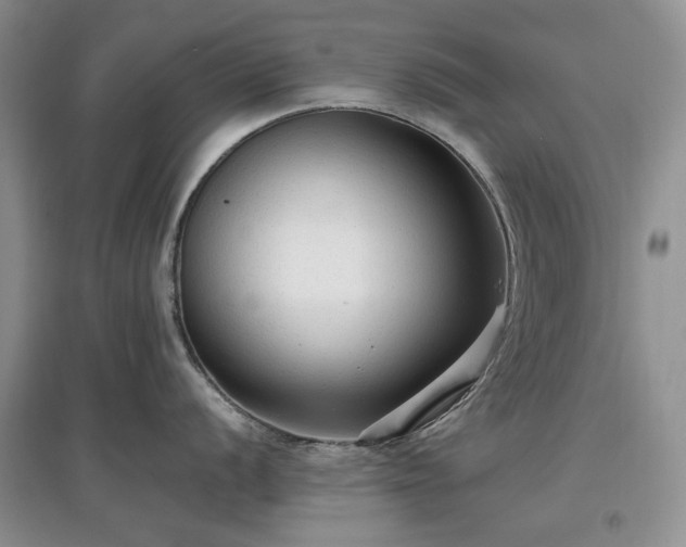 X0000097611056200803071446