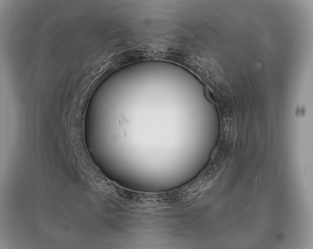 X0000097611057200803071445