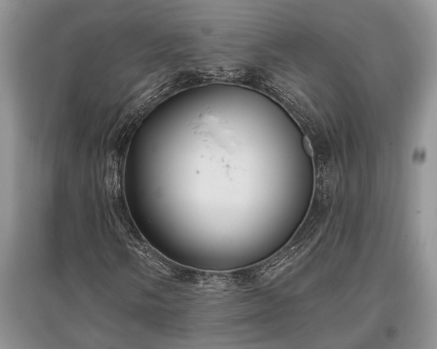 X0000097611058200803071445