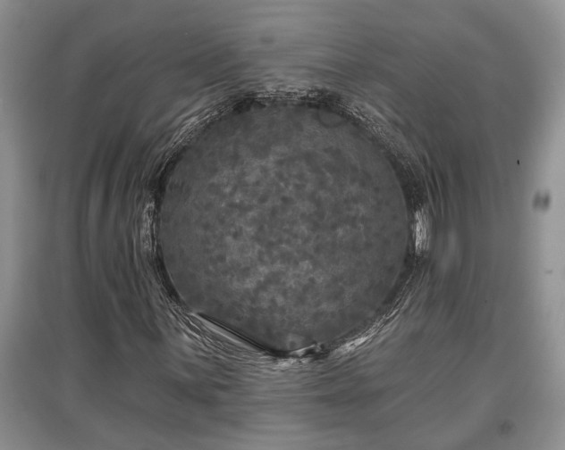 X0000097611059200803071445