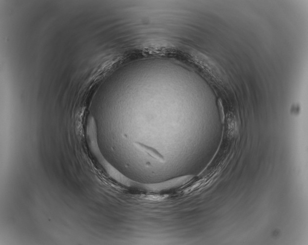 X0000097611060200803071445