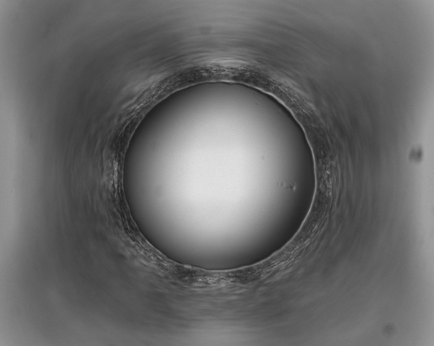 X0000097611061200803071445
